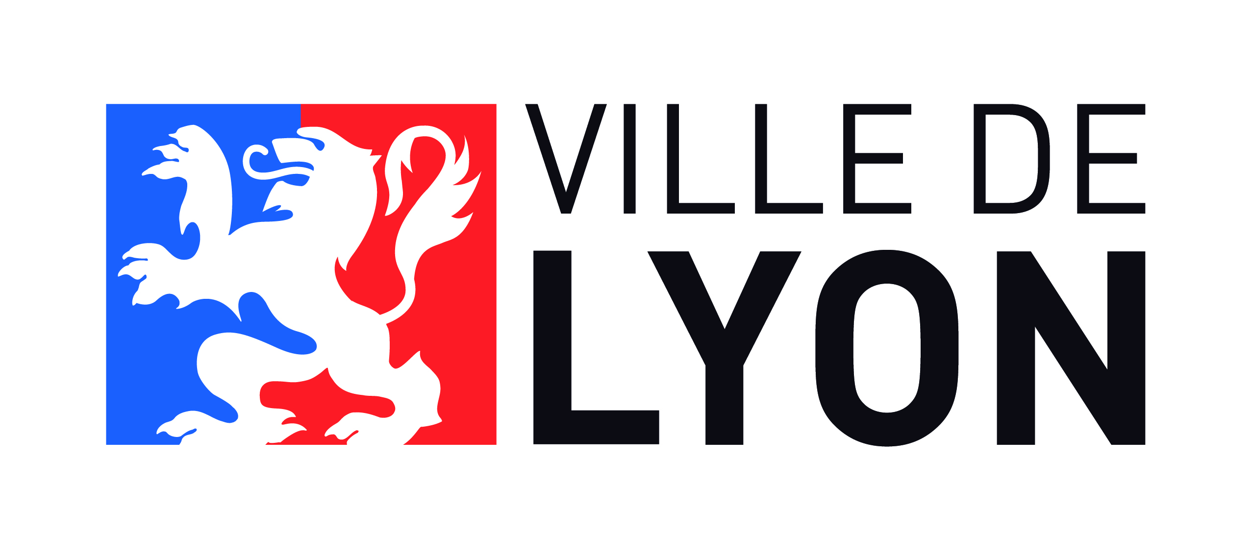 FETE DE LA MUSIQUE LYON 2015 coordonnée par la Ville de Lyon